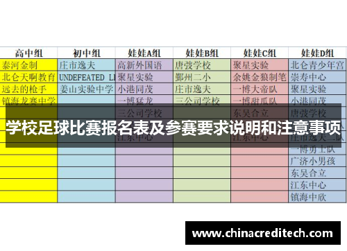 学校足球比赛报名表及参赛要求说明和注意事项